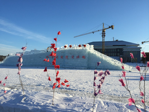 冰天雪地