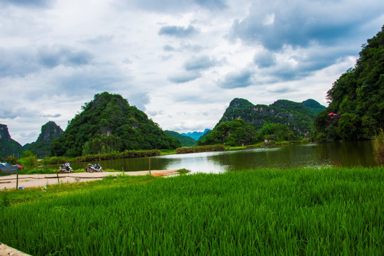 山丘 湿地