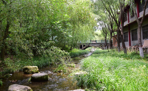 重渡沟的小河石桥景观