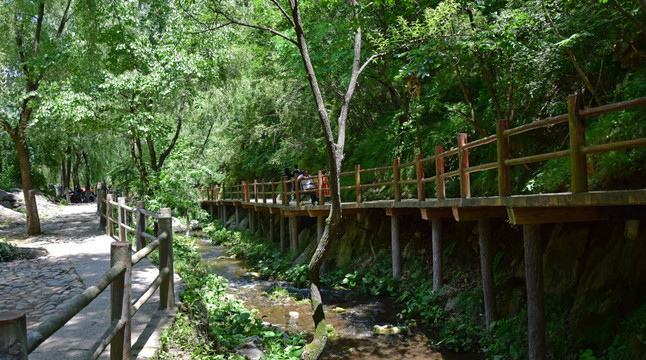 河道两边的观景步道