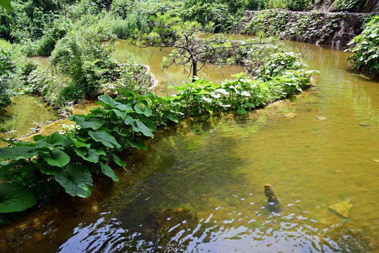 梯田式的水潭风景图