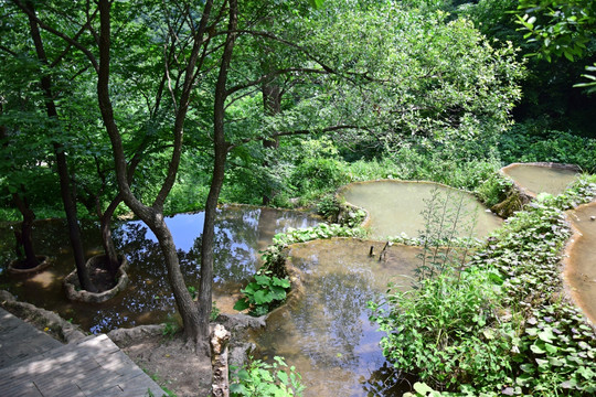 层叠的水潭景观
