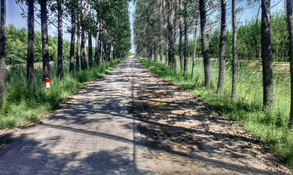 宽阔的农家道路