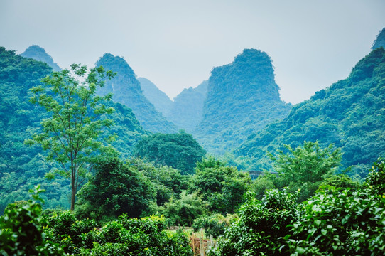 美丽山景