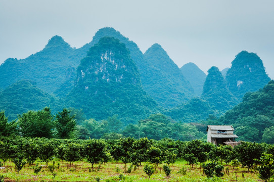 美丽山景