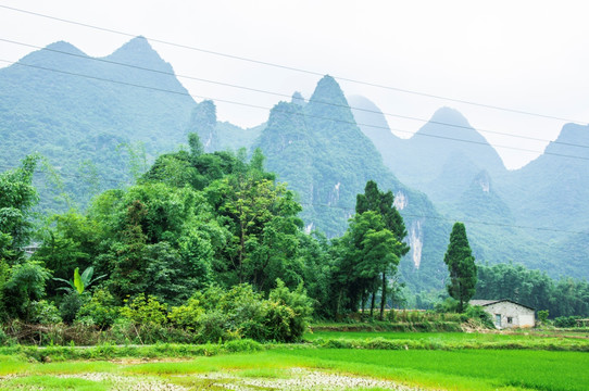 美丽田园