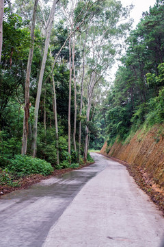 山区公路