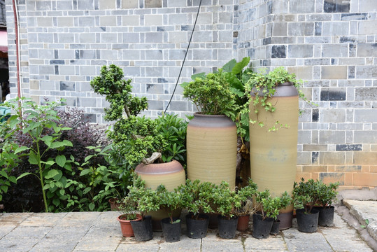 小区花坛