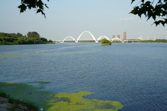 沈阳浑河 风景 桥