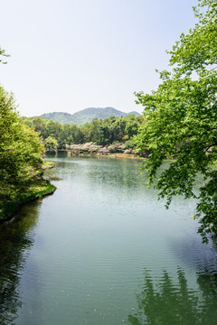 西湖周边水景