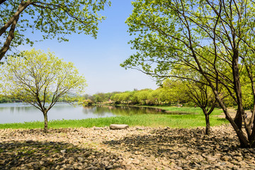 西湖周边水景