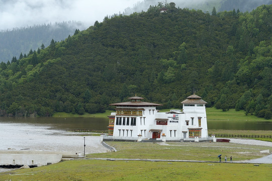 鲁朗林海风景区