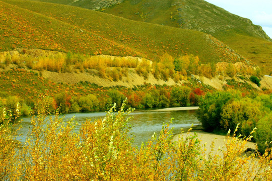 秋季河流植被