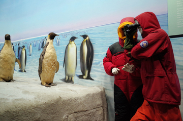 南极科考队员