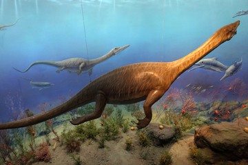 恐龙模型 远古动物模型