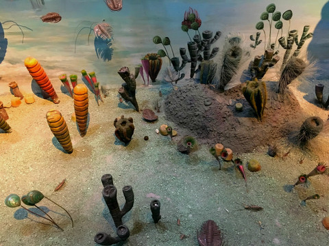 海底