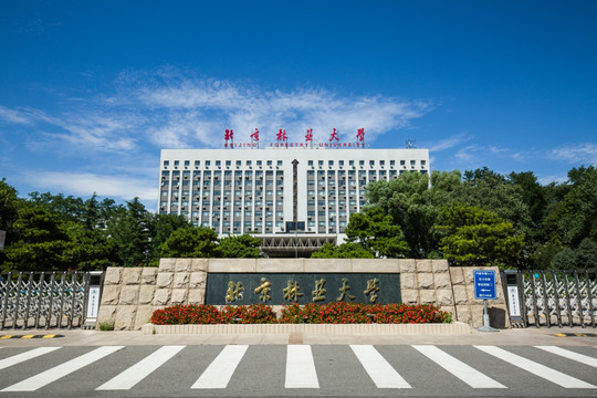 北京林业大学