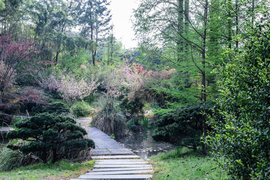 杭州花圃园林景观