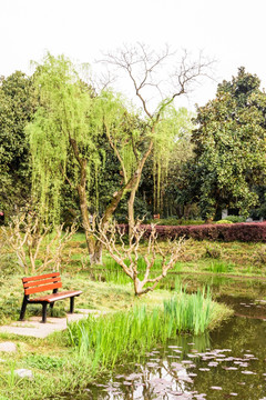 杭州花圃园林景观