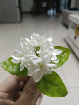 茉莉花