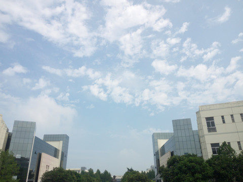 大学校园