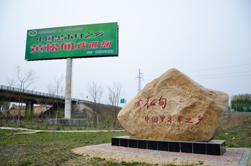 黄松甸木耳养殖基地