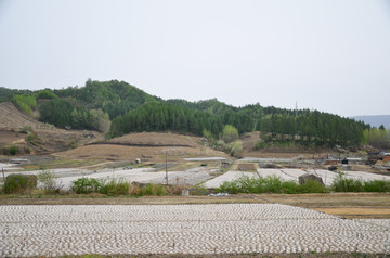 黄松甸木耳养殖基地