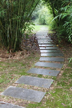 竹林石石板小路