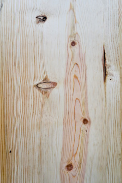 木材纹理 年轮