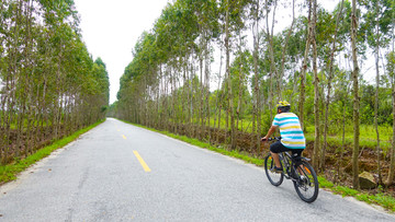 乡村道路