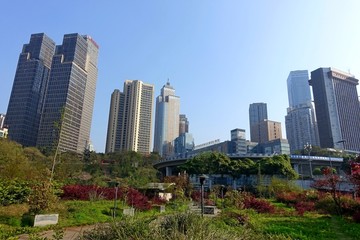 都市楼群