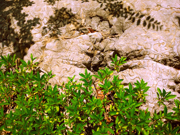 岩石峭壁