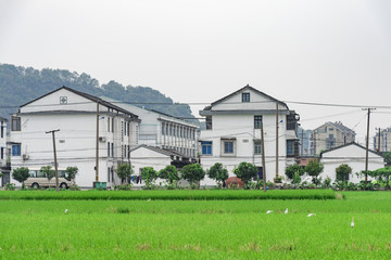 江南村庄