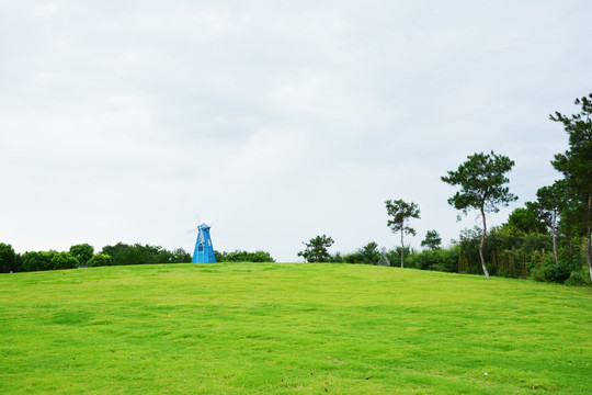 清新草地 唯美草地