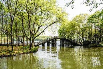 西湖边木桥