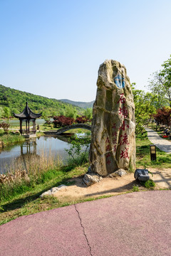 石塘竹海乡村风光