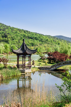 石塘竹海乡村风光