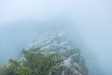 深圳大鹏排牙山的景色