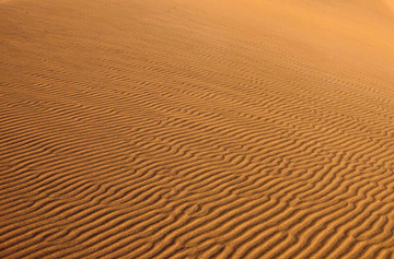 塔里木沙漠 沙坡头