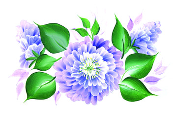紫花