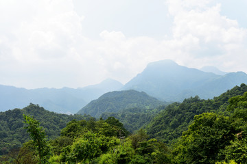 大山 树林 山脉