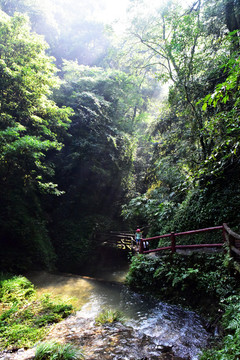 山泉 光束