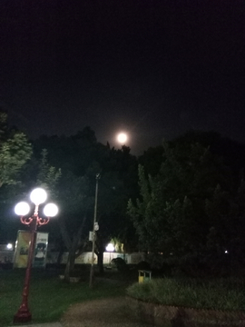 圆圆的月亮与路灯