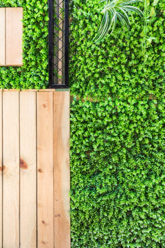 木板 植物装饰墙