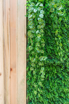 绿叶木板墙