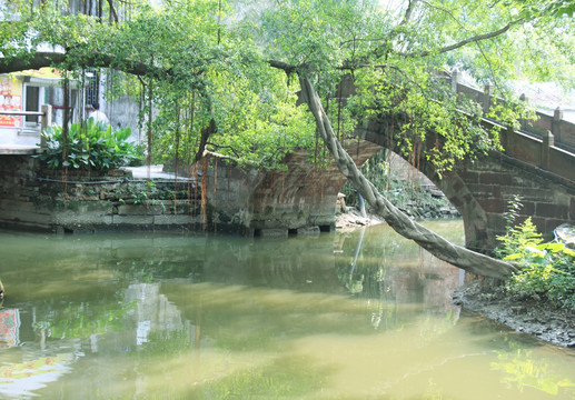 逢简水乡