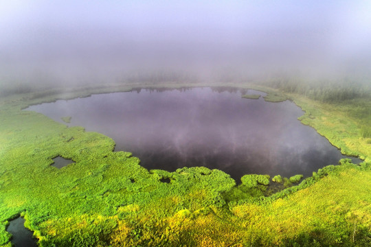 森林湖晨雾风景 航拍