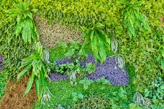 植物花草底纹