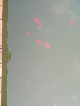 全国文明村