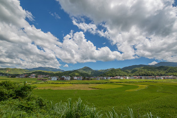 乡村风光